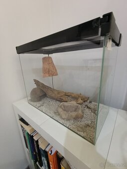 Prodám terárium - 2