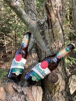 Pilsner Urquell Exportní hnědá lahev 0,33l vývozní - 2