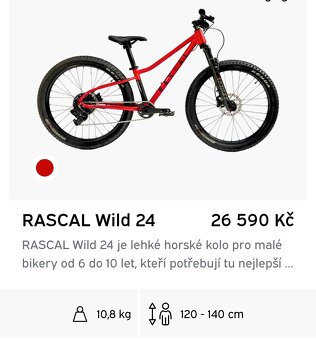 Rascal 24 wild - 2