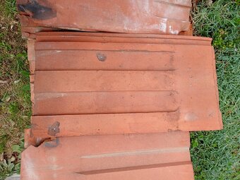 Starší tašky a hřebenáče - 2