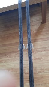 Dětské bezky SKOL 170cm - 2