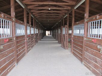 Nabízím boxové a venkovní ustájení koní. - 2