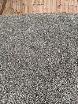 Bio žito k mletí - 2