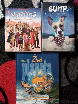 Knihy pro větší děti - 2