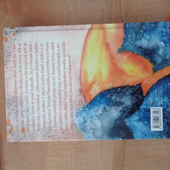 ZRZKA V NESNÁZÍCH, dívčí román - 2