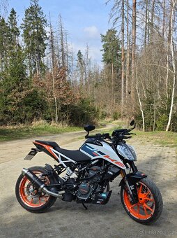Duke 125 2023 - 2