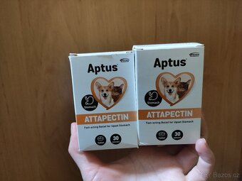 Aptus Attapectin, proti průjmu - 2