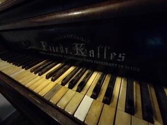 Vídeňské křídlo - 2