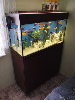 Akvarijní set - akvárium 200l + skříňka - 2