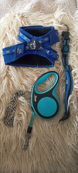 Flexi vodítko 5 m+postroj,obojky - 2