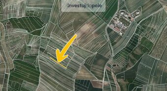 Prodej pole v k.ú. Klobouky u Brna - 2