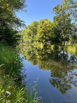 Prodej louky u řeky Metuje 3 641 m², ideální pro rybáře - 2