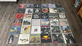 LP / Vinyl desky - velká sbírka (Punk , Rock ,atd) - 2