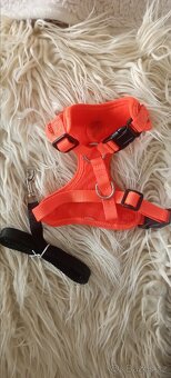 Postroj ACTIVE DOG MELLOW XS - 2