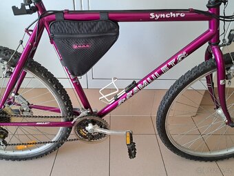 Horské kolo Amulet - 2