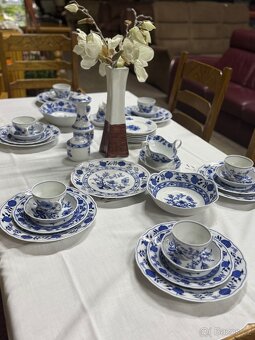 Německý cibulák - 2