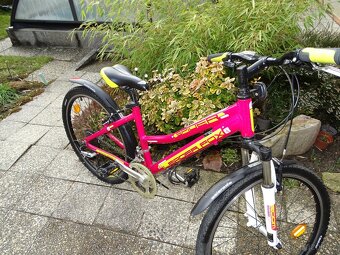 Dívčí dětské kolo 24" Páčkové řazení - 2