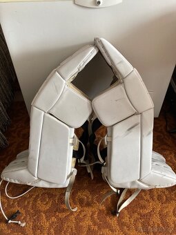 Hokejová výstroj - 2