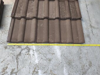 Střešní kytina - 2