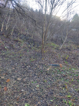 Pozemek - zahrada Blansko - 2