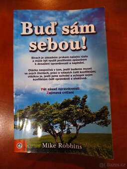 Kniha "Buď sám sebou", Autor Mike Robbins - 2