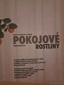 Kniha pokojové rostliny - 2