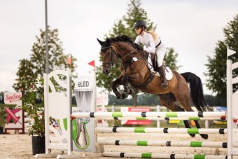 Skokově nadaná klisna po Chico´s Boy - 2