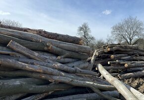 Palivové dřevo tvrdé štípané Jihlava - 2