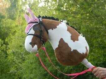 Hobby horse - 2