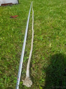 provazové otěže Bang slobber-straps - 2