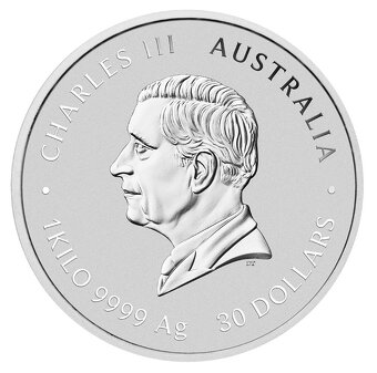 Stříbrná mince 1 Kg Lunar Series III Snake 2025 Privy Mark - 2