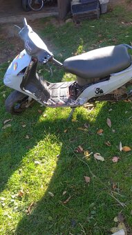 Piaggio sal 50 ngk BEZ TP zamluveno do 2.11. - 2