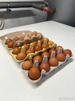 Domácí vajíčka - 2