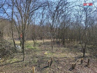 Prodej zahrady, 400 m², Postoloprty - 2