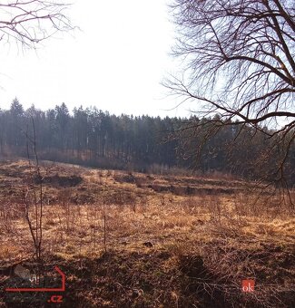Prodej, pozemky/bydlení, 22894 m2, 40502 Janská, Děčín [ID 6 - 2
