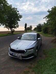 Octavia IV 2,0 TDI 85 kW r.v.2023 - 2
