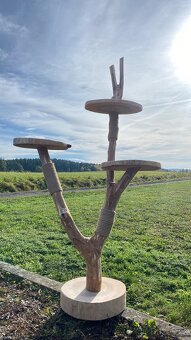Kočičí strom - 2
