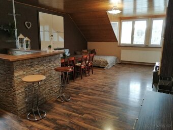 Silvestr ubytování Orlické hory - 2