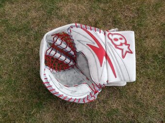 Lapačka a vyrážečka OPAČNÝ GARD - 2