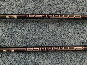 Prodám sjezdové hole - 2