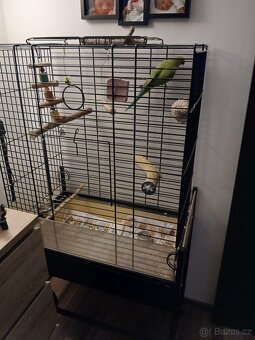 Alexandr maly i s kleci - 2