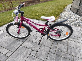 Superior paint 20 růžové - 2