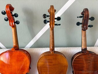 Tři staré viola - 2