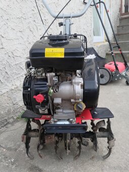 Hecht 784 - 2
