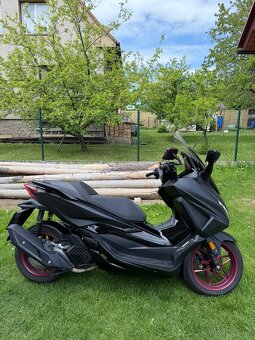 Honda forza 125 - 2