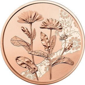 10 euro Rakousko 2022 Měsíček lékařský ideální dárek - 2