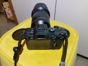 Sony A7 III + Sony 24-240 mm F3,5-6,3 OSS - 2