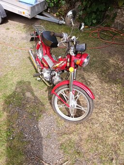 Jawa betka - 2