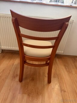 Jídelní židle - 2