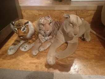 tygři - 2